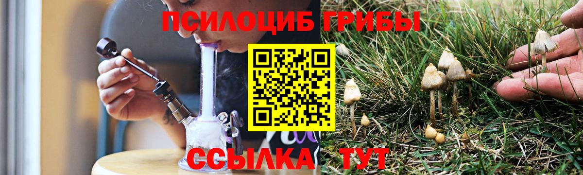 Псилоцибиновые грибы мухоморы  Псилоцибиновые грибы Magic Shrooms  Соликамск  Вход с VPN 